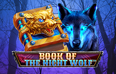 Book of the Night Wolf